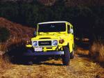 Toyota Land Cruiser Hard Top 1979 года